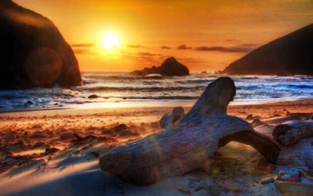 Sunset over rocky beach with driftwood and ocean waves, golden sky and vibrant colors, scenic coastal landscape, serene evening by the sea, nature reflection and tranquility.