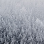 HD Winter Background for Iphone.