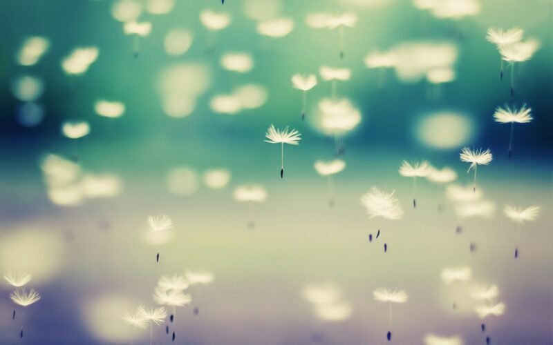 Beautiful High Quality Backgrounds - PixelsTalk
