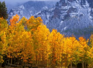 Fall Colors near Silver Jack Reservoir, Colorado