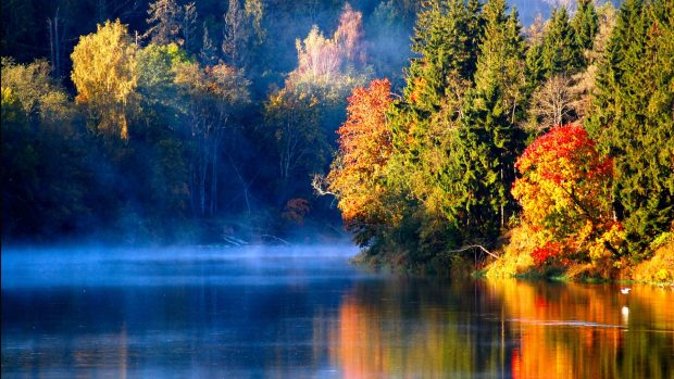 HD river nature best desktop images widescreen.