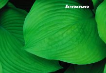 lenovo_Summer