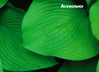 lenovo_Summer