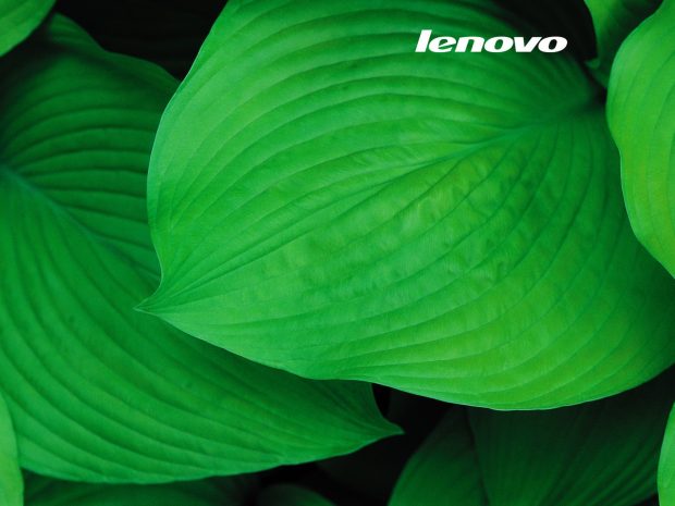 lenovo_Summer