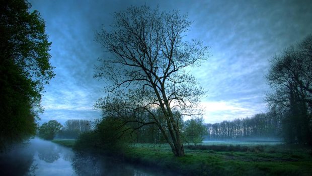 Hd Wallpapers 1080p Widescreen Download.
