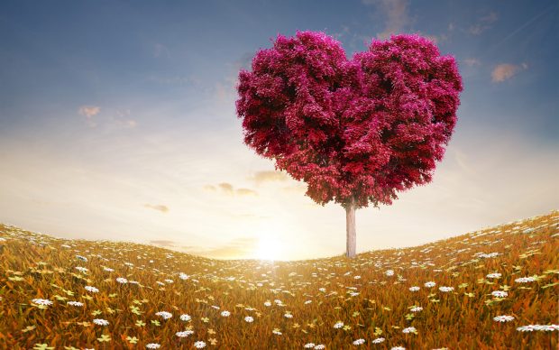 Heart Shape Tree Wallpaper 2560x1440 for Tablets.