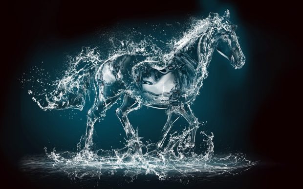 Horse Water Creative Art Background 2560x1440 for Tablets.