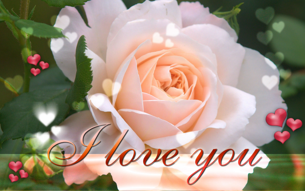 I love you ecard desktop wallpaper 1920x1200.