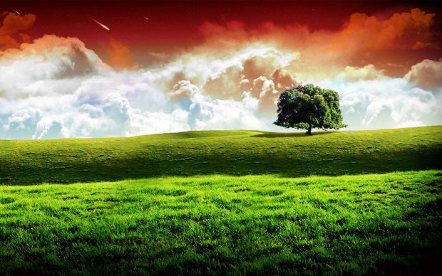 Indian Flag Background Free Download.