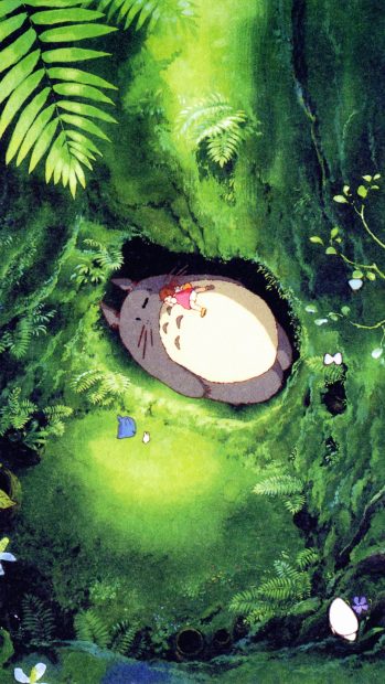 Japan Totoro Art Green Anime Illustration iphone Photos.