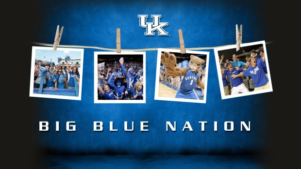 Kentucky Wildcats Fan Wallpaper.