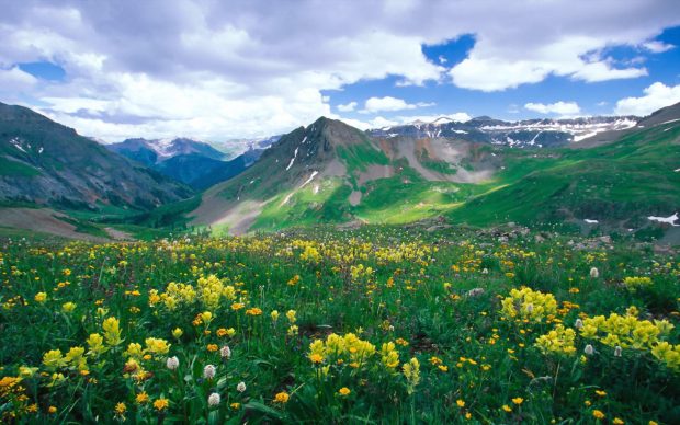 Landscape basin boy yankee colorado ouray wallpaper art vector.