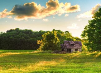 Log Cabin Desktop Photo.