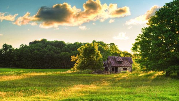 Log Cabin Desktop Photo.