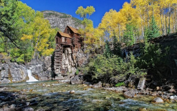 Log Cabin Nature Background.