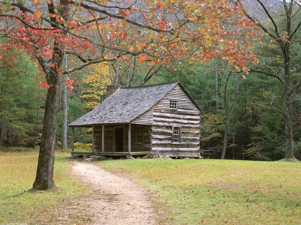 Log Cabin Nature Wallpaper.