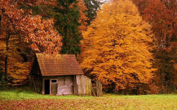 Log Cabin Wallpaper Download Free.