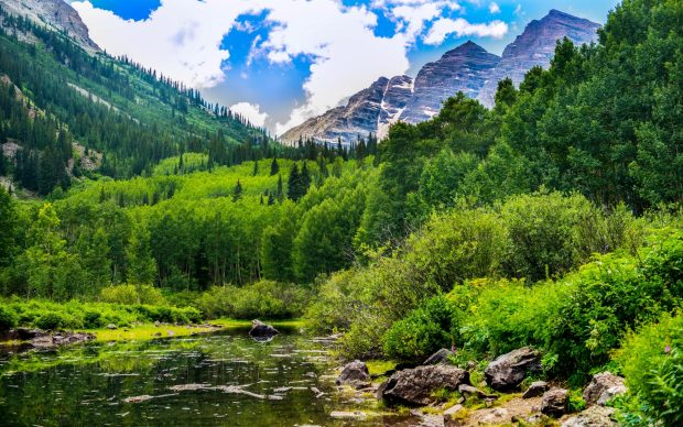 Maroon Bells Colorado Shrub Wallpapers.