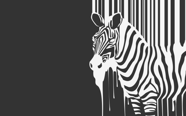 Minimalistic zebras creative 2560x1600.