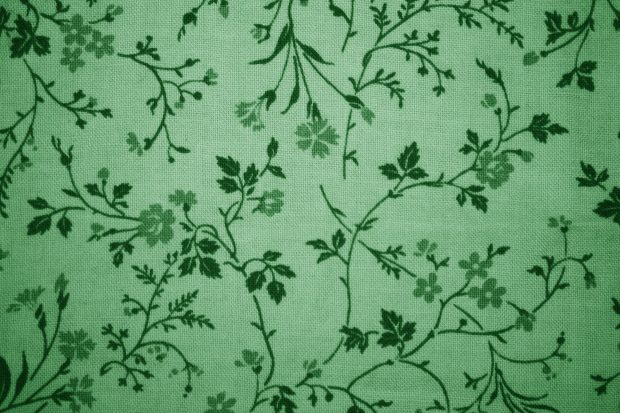 Mint green hd wallpaper.