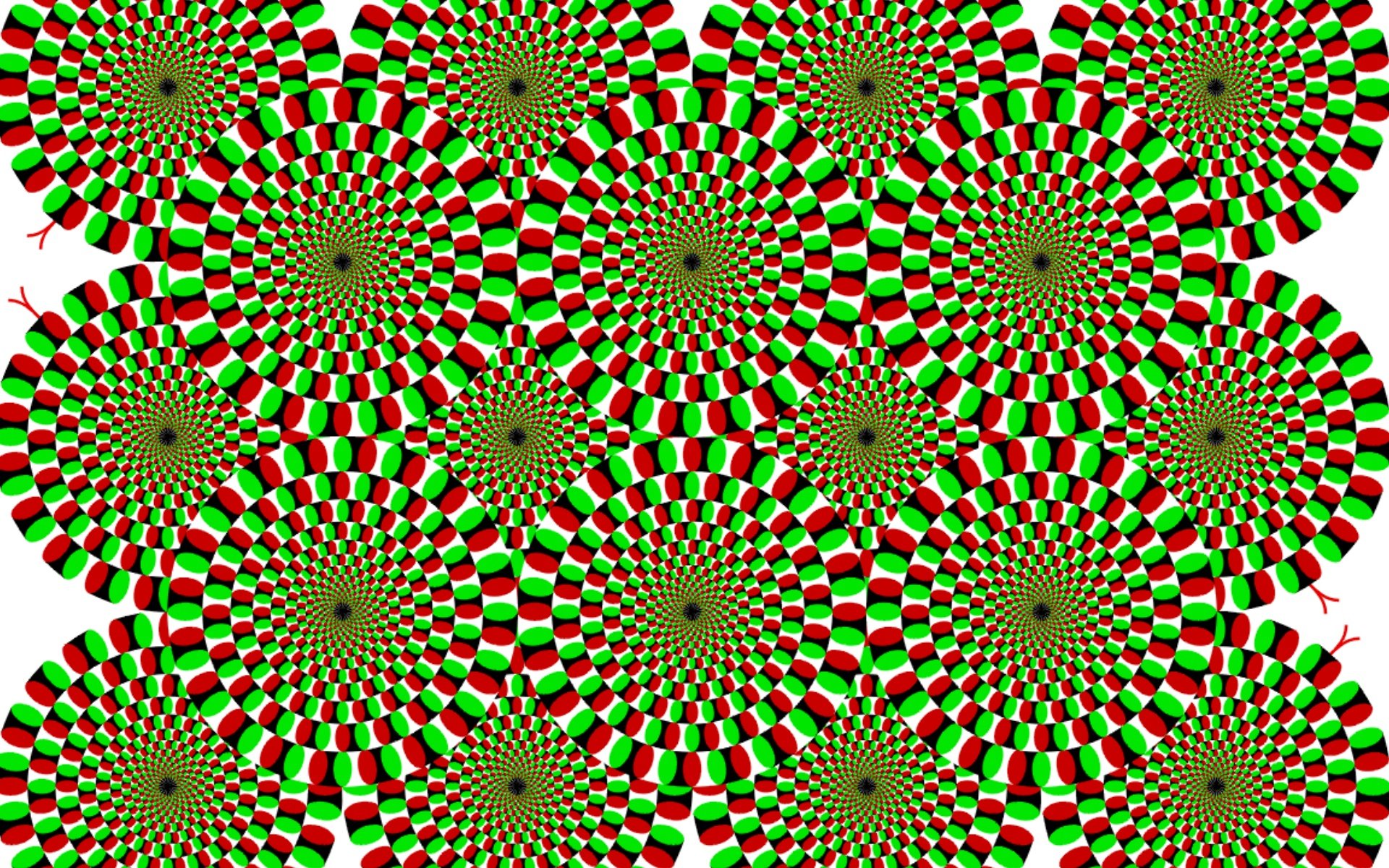 Trippy wallpapers are unique desktop backgrounds that create powerful  optical illusions for your eyes