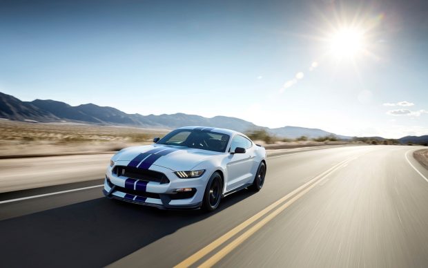 Mustang 2560 x 1600 Wallpaper.