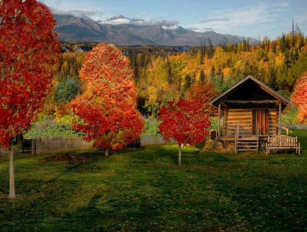 Nature Log Cabin Background.