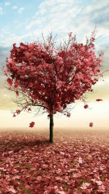 Nature Red Love Fall Tree iphone 6 pictures.