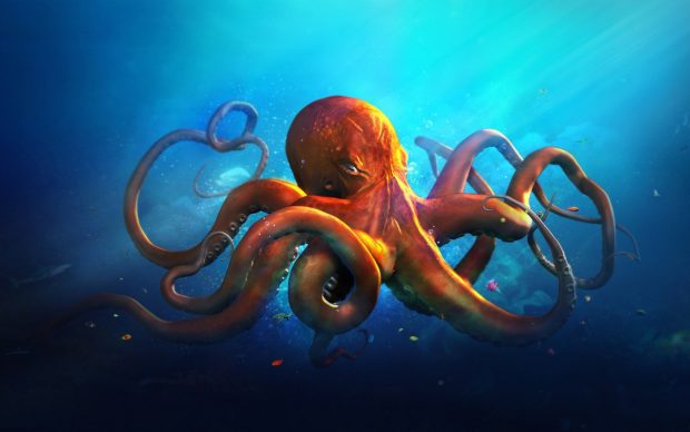 Octopus Cartoon Wallpaper.
