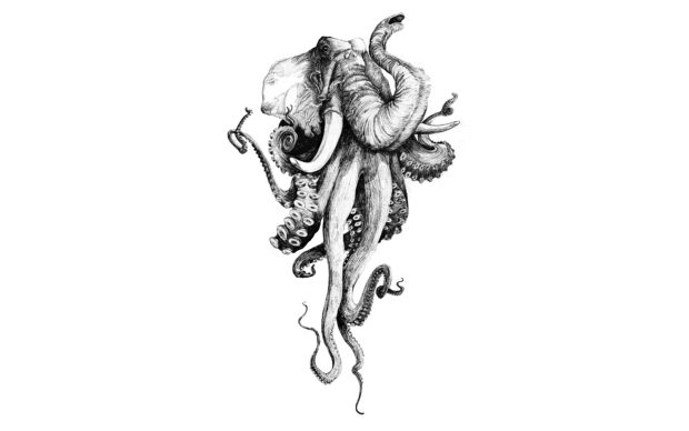 Octopus Desktop Images.