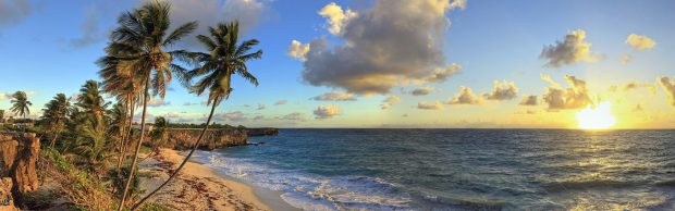 Panoramic Beach Background Download.