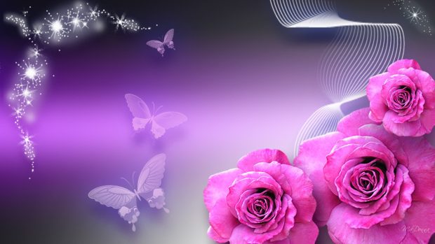 Pictures butterfly desktop butterflies rose pink.