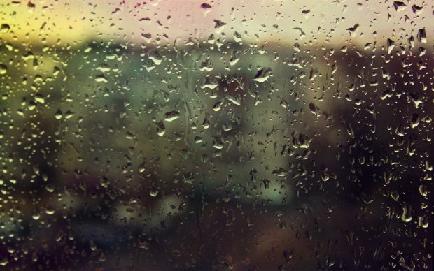 Rain Window Wallpaper Download Free.