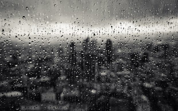 Rain Window Wallpaper Free Download.