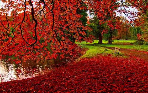 Romantic Autumn Wallpaper.