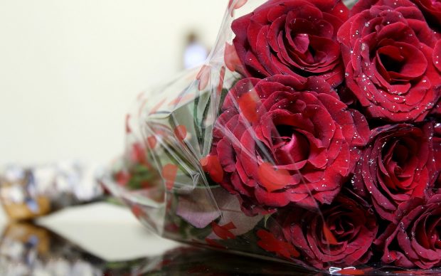 Romantic Rose Wallpaper.