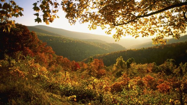 Shenandoah national park autumn gallery 1920x1080 images.