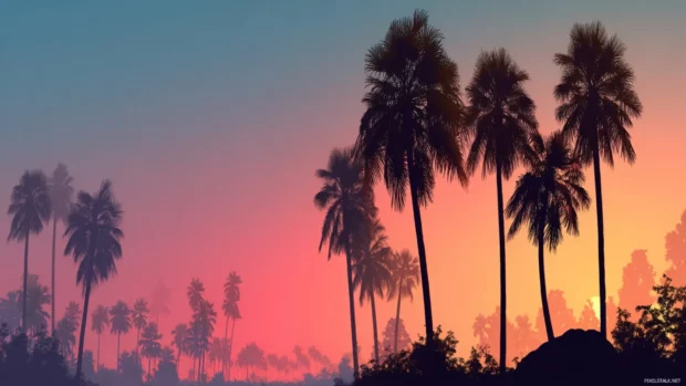 Silhouetted palm trees against gradient sunset in widescreen wallpaper format with tropical calm flat illustration.
