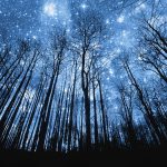 Starry night high definition wallpaper download.