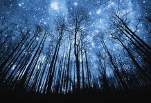 Starry night high definition wallpaper download.