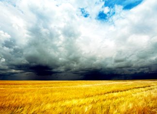 Storm Clouds On Filed Background 2560x1440 for Tablets.