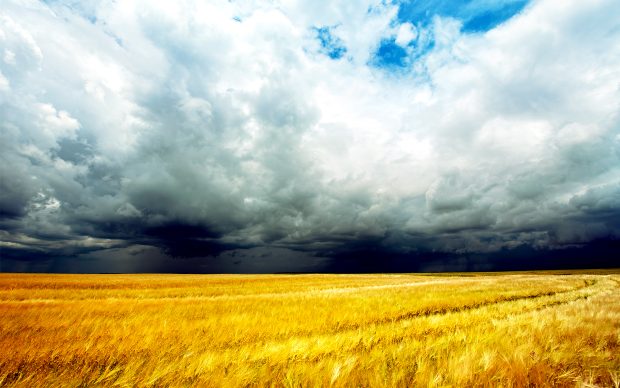 Storm Clouds On Filed Background 2560x1440 for Tablets.