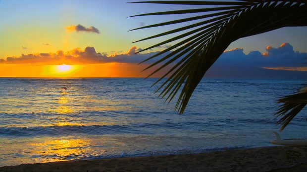 Sunset Beaches Background Download.