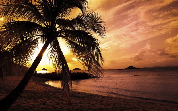 Sunset Beaches Image.