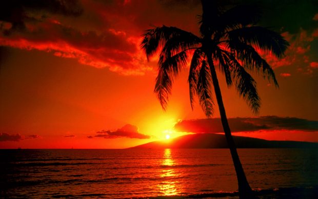 Sunset Beaches Image Free Download.