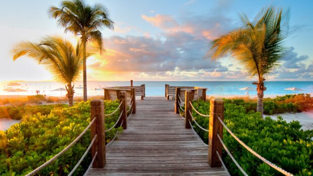 Sunset over beach with palm trees and wooden pier leading to ocean, tropical coastal scenery, vacation destination, relaxation and scenic view.