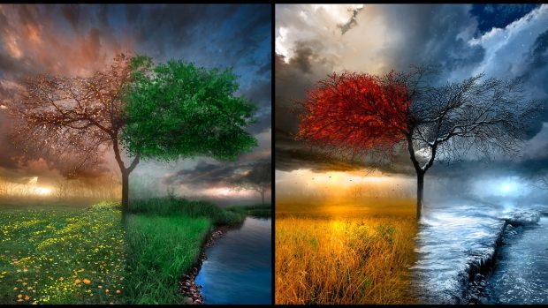 The Four Seasons Digital Art Background For PC.
