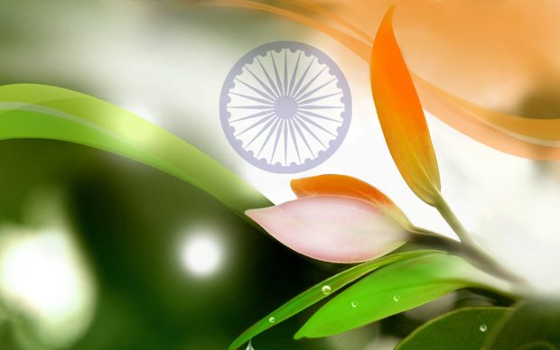 Tiranga in Nature Wallpaper for Indian Flag Decoration.