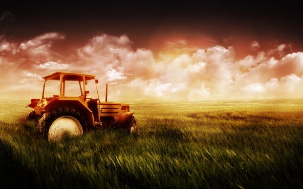Tractor in The Field 1280 x 800 Wallpaper.