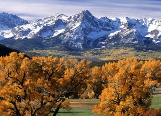 Trees autumn Colorado photos 3840x2400.